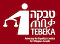 TebekaLogo